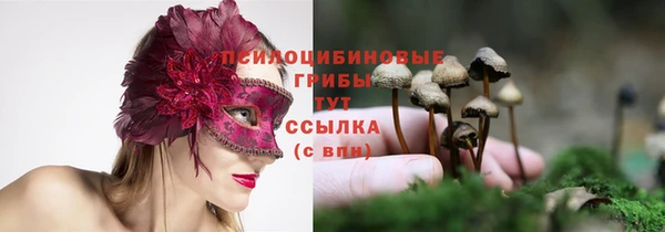 гашик Верхний Тагил