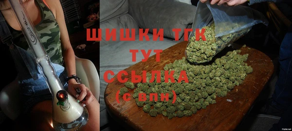 гашик Верхний Тагил